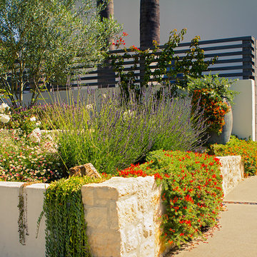 Curb Appeal Sets The Tone.- Front Yard