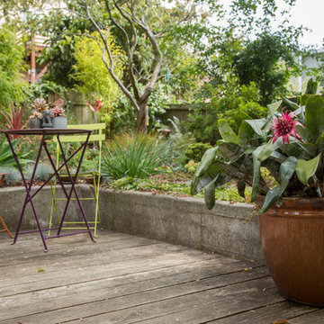 Garden in the Excelsior