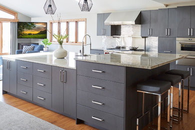 Kitchen - contemporary kitchen idea in Chicago
