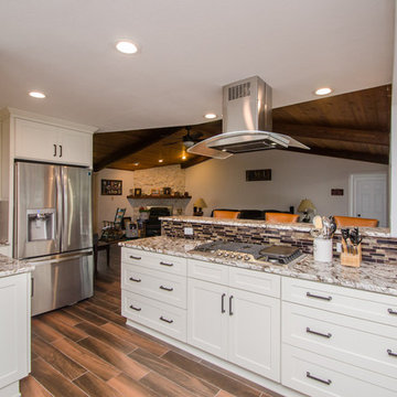 Kitchen/Living/Dining Space Renovation