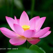 Foto von Jenny Chan