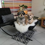 Foto de sylvia sanz