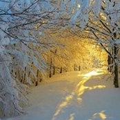 Alison Rouse's photo