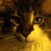 Wanda Behrens's photo