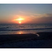 Roger Broderick's photo