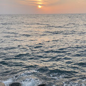 Razan Tammars foto