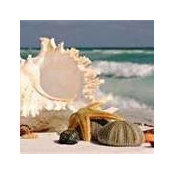 Laura Del Valle's photo