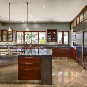 Contemporary Kitchens