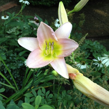 Landscape management, Squirrel Hill