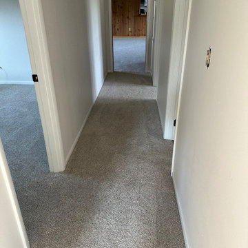 Home Renovation