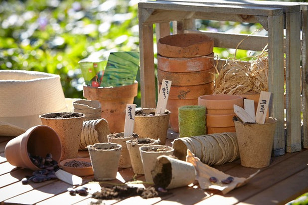 Современный Фасад дома Outdoor Living, Gardening and Irrigation