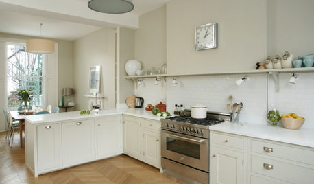 Kitchen of the Week: Clean Lines and Cool Colours in a London Terrace