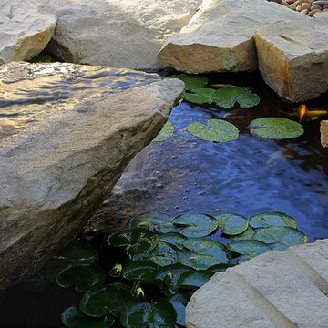 Natives Garden For A Steep Wild Site