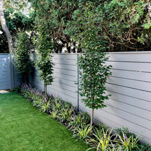 Jamie’s Backyard