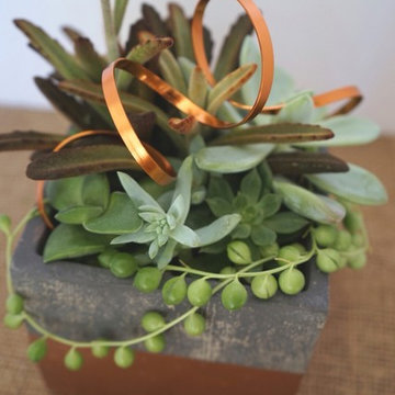 Custom Creations