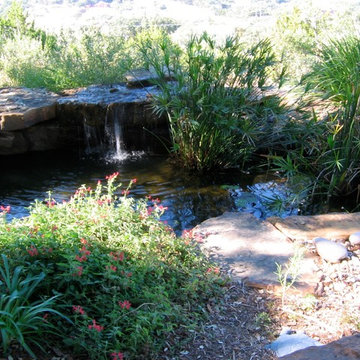 Water Features