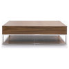 Modrest Heloise Modern Walnut and Stainless Steel Coffee Table