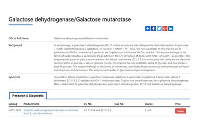 galactose dehydrogenase