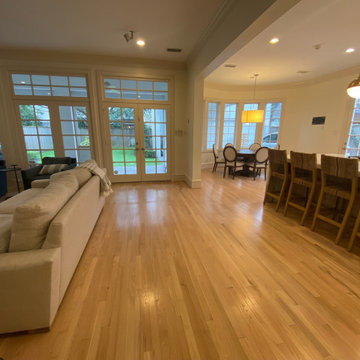Contemporary West U Kitchen Remodel