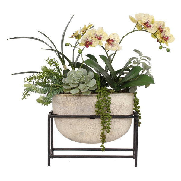 Burgundy Phalaenopsis Orchid, Succulent in Ceramic Vase w/ Metal Holde