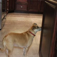 Kitchen Floors