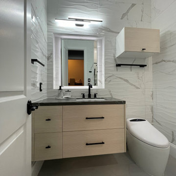 Modern/Contemporary Guest Bathroom Remodeling in Cypress