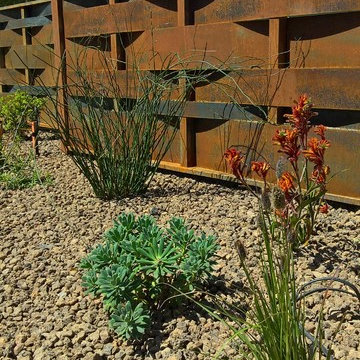 Edible Garden with Whimsy - Lawn removal project