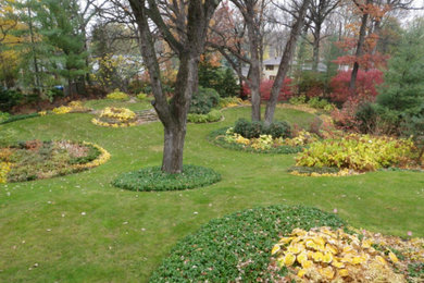 Curvilinear Landscape Design for Residential Property-Autumn