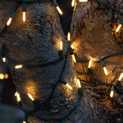 Alpharetta, GA Christmas Lighting Project #3 String Light #1 - Holiday Lighting