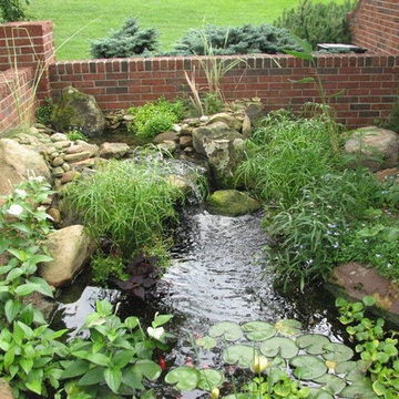 Ponds