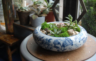DIY Project: Alternative Ways to Show Off Your Succulents