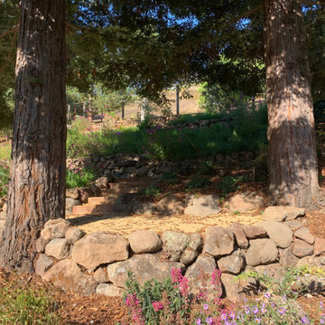 Hillside Flower Meadow + Food Forest