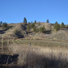 Squilchuck Project