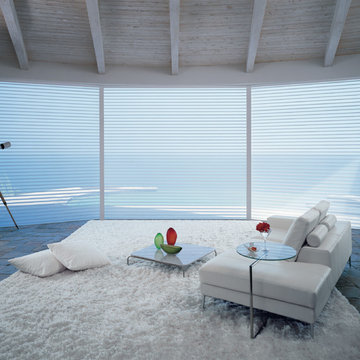 Silhouette Window Shadings