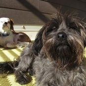 Susie Putman's photo