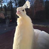 Eugenia Smir's photo