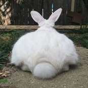 Brigitta Doyle's photo