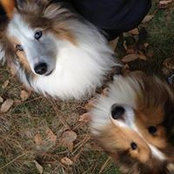 Pamela Clare's photo