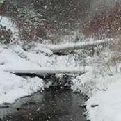 Karen-Anne Charlton's photo