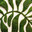 Lil bit garden LLC