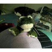 Foto de Debbie O'Donnell
