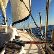 Amanda Herrnkind's photo