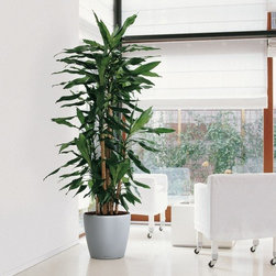 Modern Planter - Home Decor