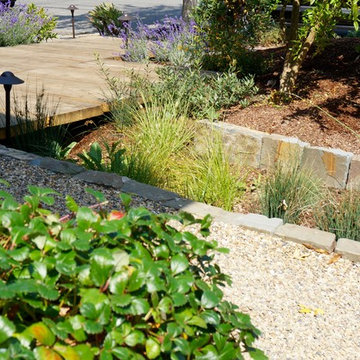 Native & Drought Tolerant Garden