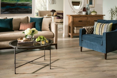 Living room - transitional living room idea in Richmond