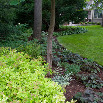 Glen Ellyn Residence