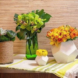 Smyrna Collection - Products
