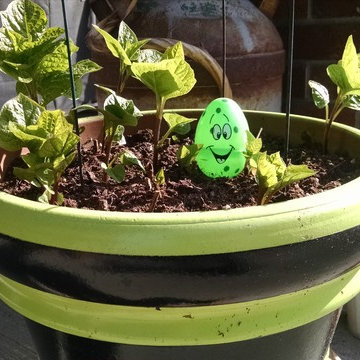 Easter Fun