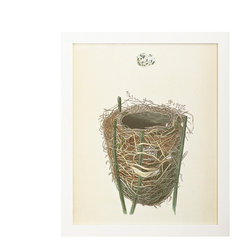 REED WARBLER NEST WALL ART - Prints And Posters
