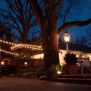 FESTIVE & STRING LIGHTING